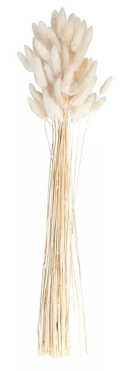 20 crema di erbe di velluto da sposa country 65 cm