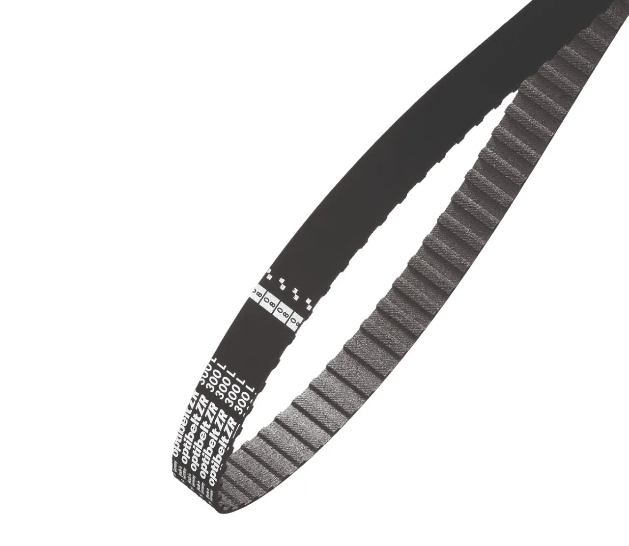 Cinghia sincrona OPTIBELT, 64 denti, passo 12.7mm, dimensioni 32poll x 0.75poll